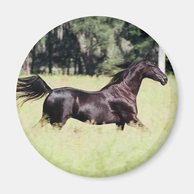 Imã corra como o vento (Frente)