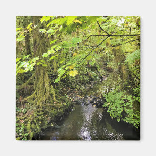 Imã Corral Creek, Oregon