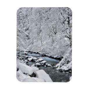 Ímã Córrego branco nevado cênico, Oregon