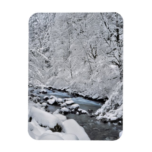 Ímã Córrego branco nevado cênico, Oregon (Vertical)