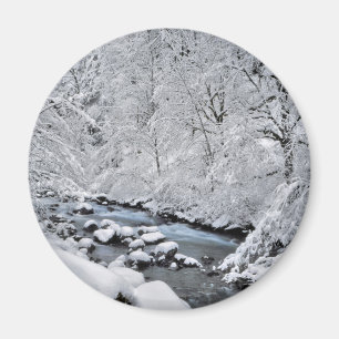 Imã Córrego branco nevado cênico, Oregon