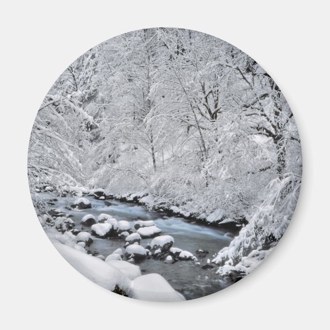 Imã Córrego branco nevado cênico, Oregon (Frente)