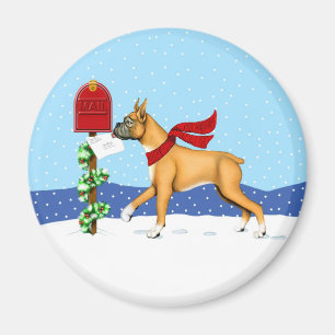 Imã Correio de Natal do Boxer