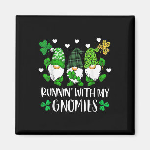 Imã Correndo Com Minha Rua De Gnomias Patrick Day Sham