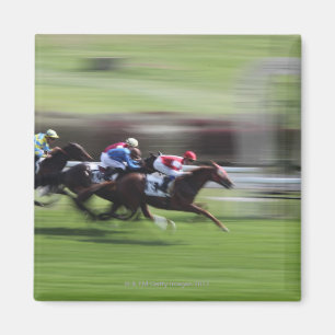 Imã corrida de cavalos