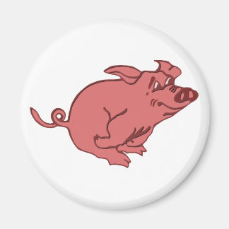 Imã corrido porco running pig