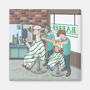 Imã Corte de cabelo de alpaca