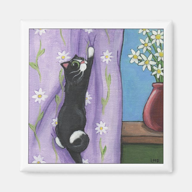 Imã Cortina de Magneto (Frente)