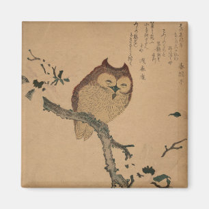 Imã Coruja & magnólia: Ímã de Ukiyo-e do japonês