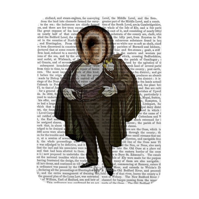 Ímã Coruja Na Ópera (Vertical)