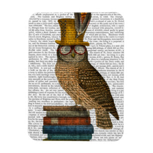 Ímã Coruja nos Livros