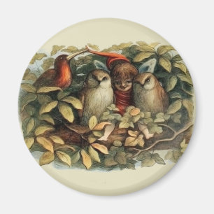 Imã Corujas e Fadas Elfos Ilustração Rica em Natureza