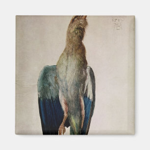 Imã Corvo azul, 1512