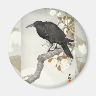 Imã Corvo Koson Japonês Pássaro Corvo