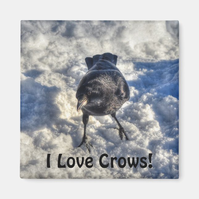 Imã Corvo Negro em Foto de Neve (Frente)