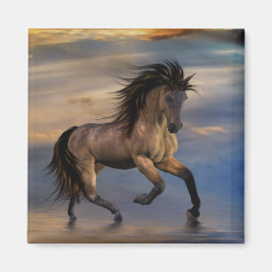 Imã Cósmico... garanhão selvagem