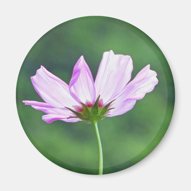 Imã Cosmos (Frente)