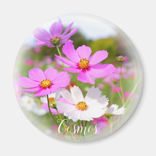 Imã Cosmos (Frente)