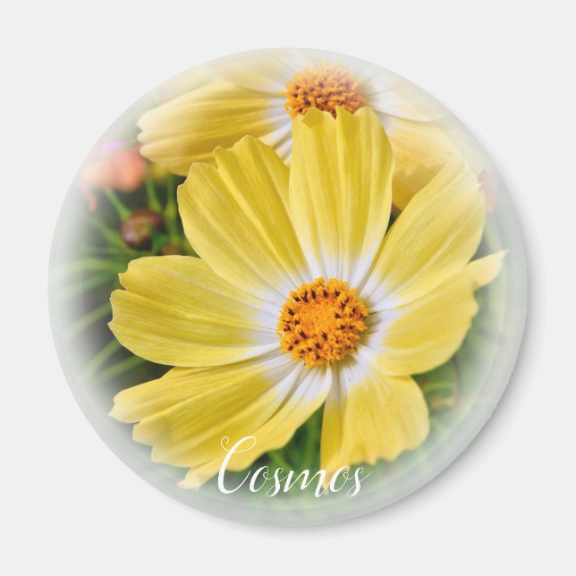 Imã Cosmos マ グ ネ ト (Frente)