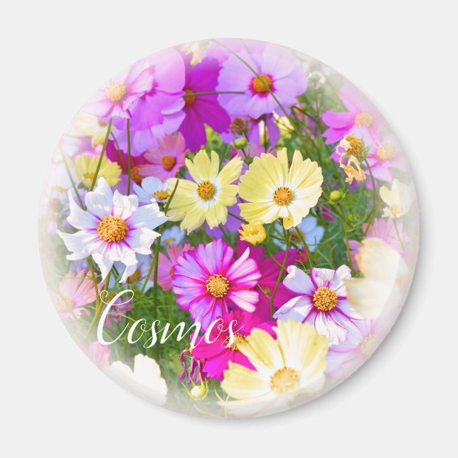 Imã Cosmos マ グ ネ ト (Frente)