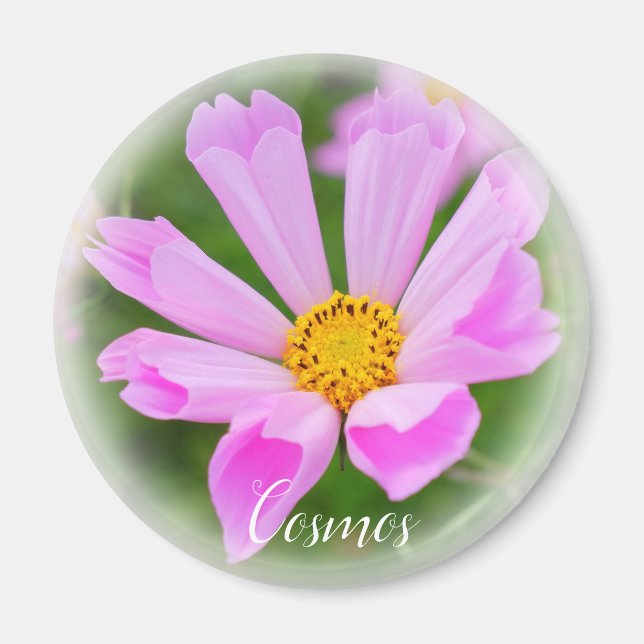 Imã Cosmos マ グ ネ ト (Frente)