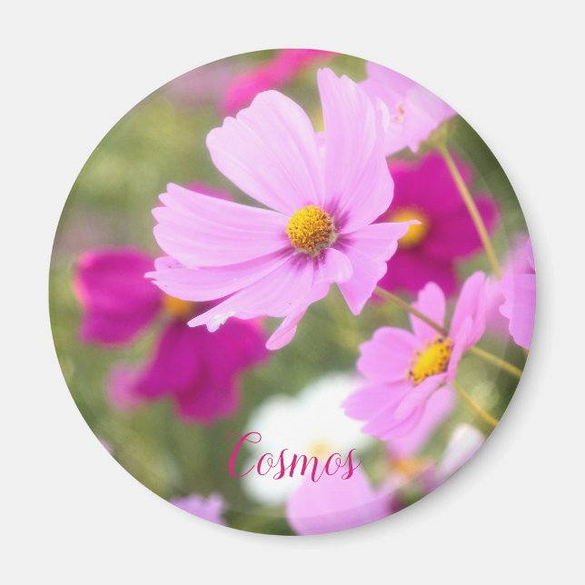 Imã Cosmos [Imagem Círculo] (Frente)