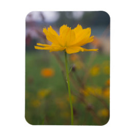 Ímã Cosmos Sulfur 02