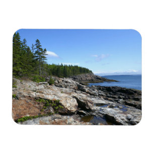 Ímã Costa da Ilha Bar no Parque Nacional de Acadia