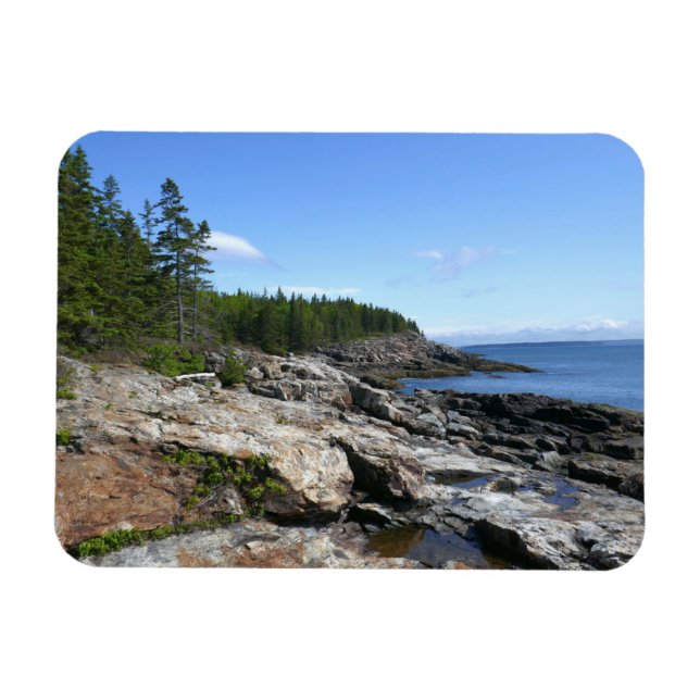 Ímã Costa da Ilha Bar no Parque Nacional de Acadia (Horizontal)