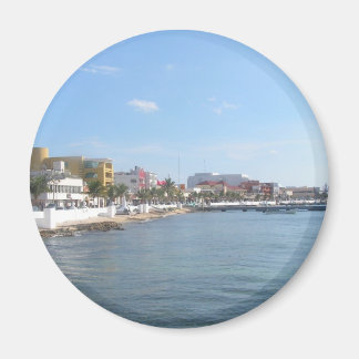 Imã Costa de Cozumel México