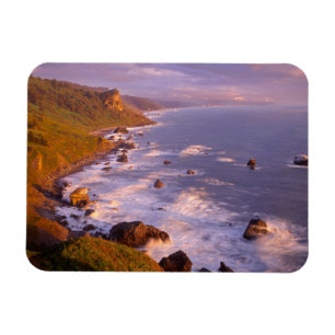 Ímã Costa de Redwoods, Califórnia