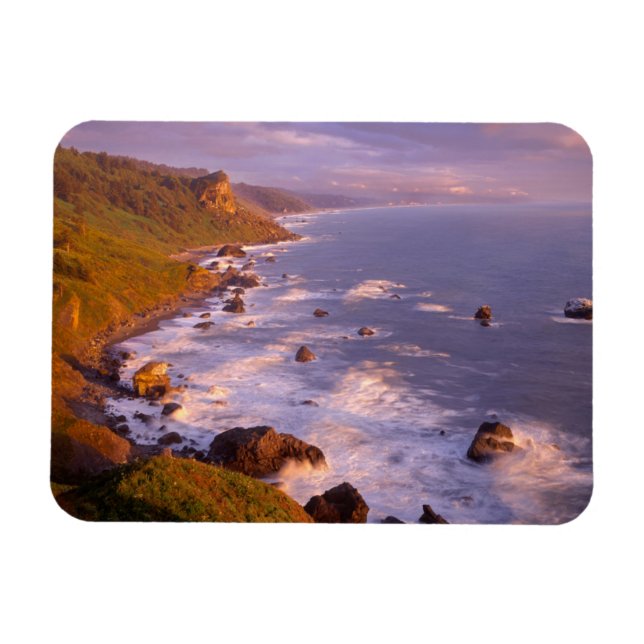 Ímã Costa de Redwoods, Califórnia (Horizontal)