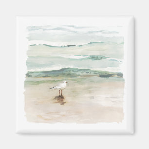 Imã Costa de Seagull de Praia