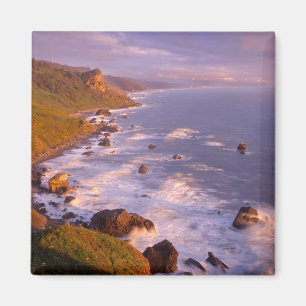 Imã Costa de sequóias, Califórnia