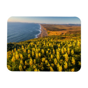 Ímã Costa Nacional de Point Reyes Califórnia