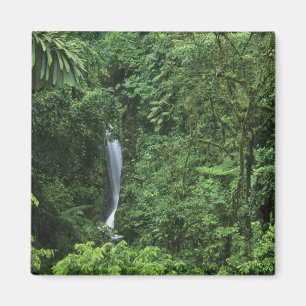 Imã Costa Rica, área do vulcão Arenal, pontes de enf