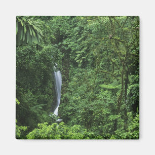 Imã Costa Rica, área do vulcão Arenal, pontes de enfor