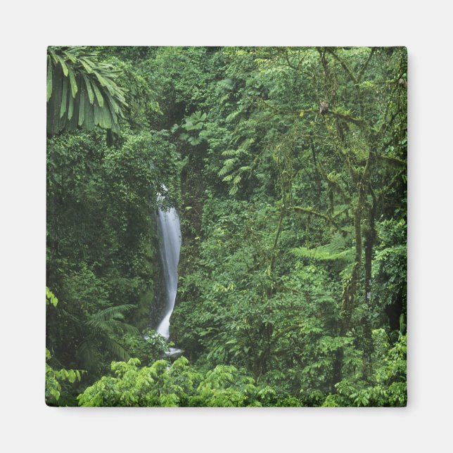 Imã Costa Rica, área do vulcão Arenal, pontes de enfor (Frente)