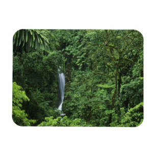 Ímã Costa Rica, área do vulcão Arenal, Pontes Pendurad
