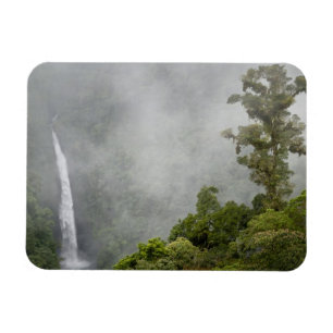 Ímã Costa Rica, floresta nublada nas montanhas perto d