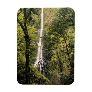 Ímã Costa Rica, Ilha do Coco, Cachoeira da Baía Wafer