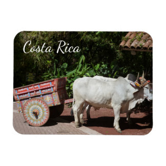Ímã Costa Rica Oxcart