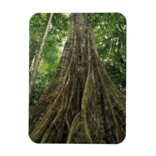 Ímã Costa Rica, Parque Nacional Corcovado, Apoiado