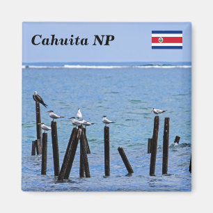 Imã Costa Rica, parque nacional de Cahuita -