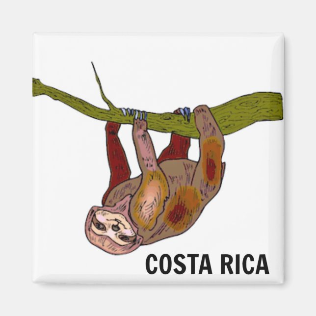 Imã Costa Rica Sloth Magnet (Frente)