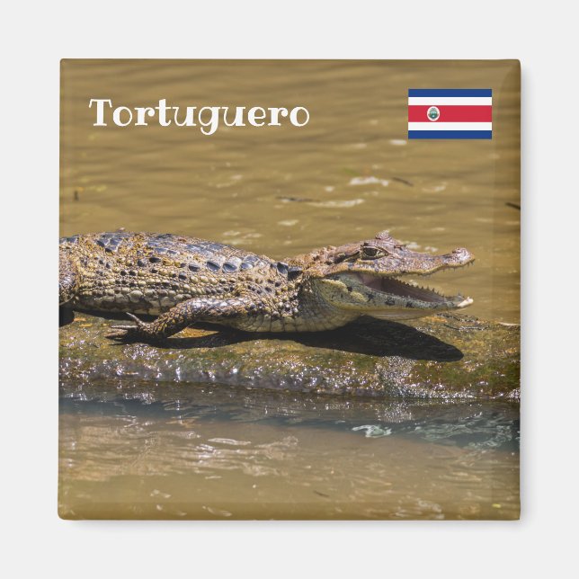 Imã Costa Rica, Tortuguero - Crocodilo sorridente (Frente)