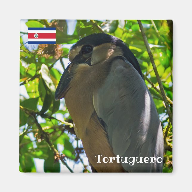 Imã Costa Rica, Tortuguero - Heron barqueiro (Frente)