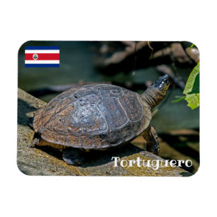 Ímã Costa Rica, Tortuguero - Rio Tartaruga