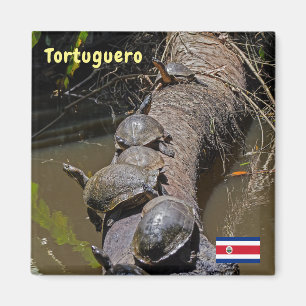 Imã Costa Rica, Tortuguero - Tartarugas