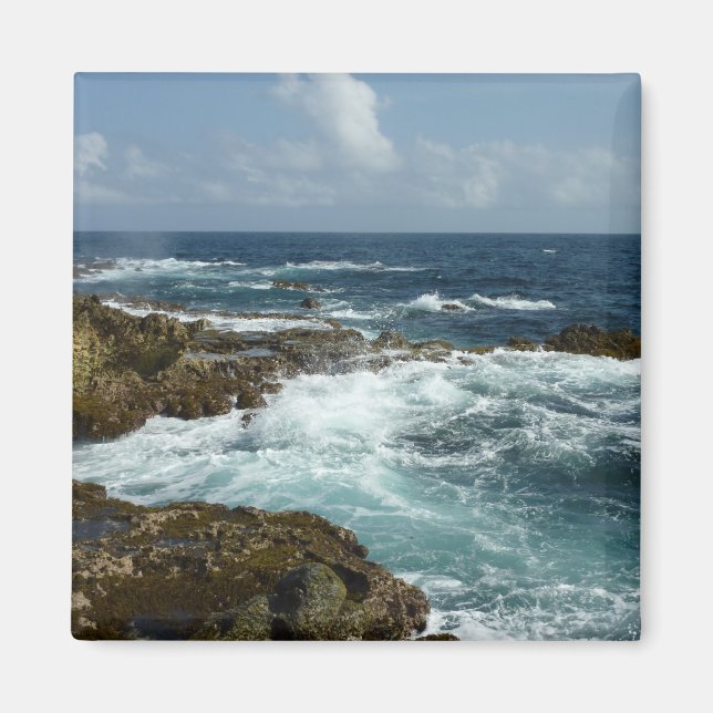 Imã Costa Rocky de Aruba e Oceano Azul (Frente)